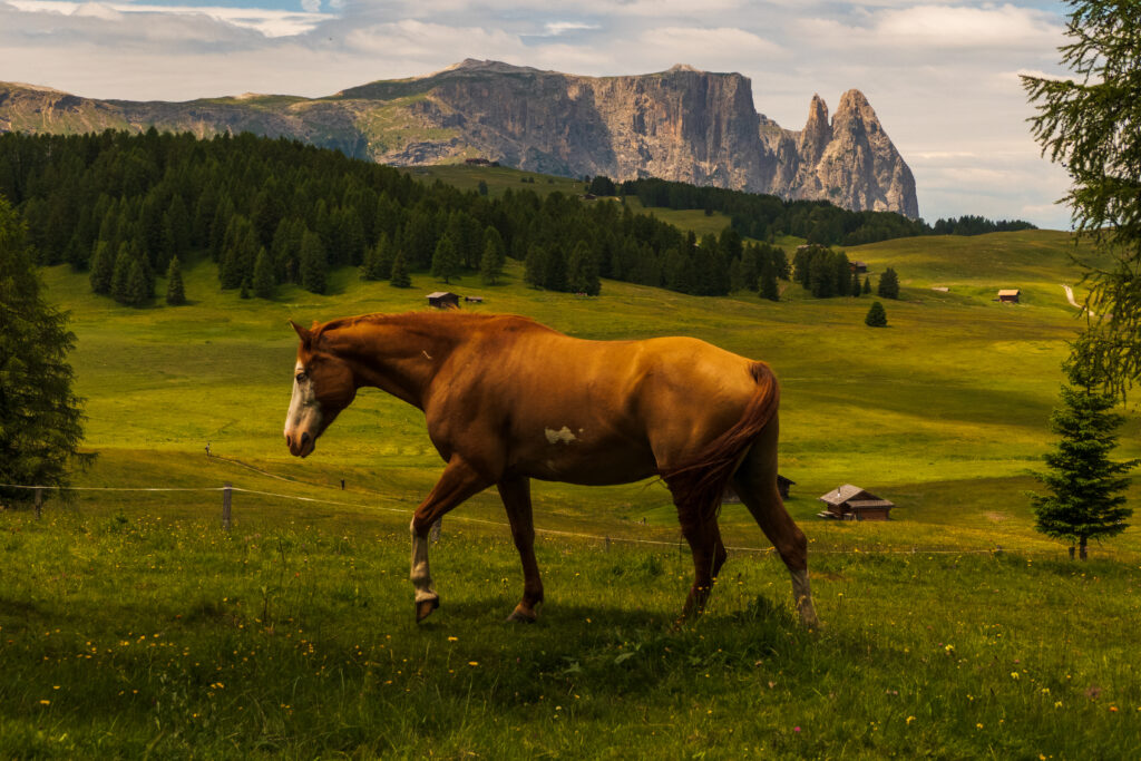 Travel, Reizen, Hiken, Trips, Europa